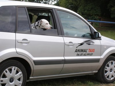 Françoise Delporte Taxi animalier